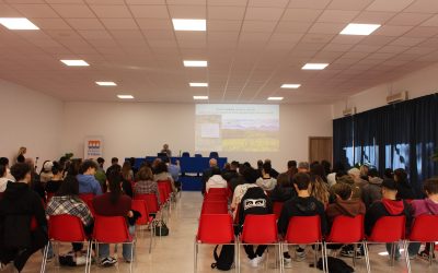 Il motore dello sviluppo