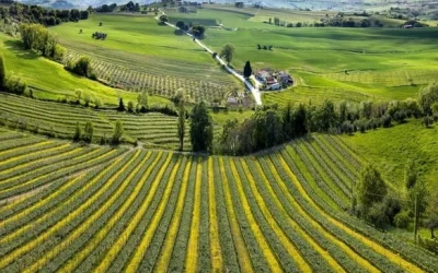 Riprese le attività dell’odv Roti con un convegno